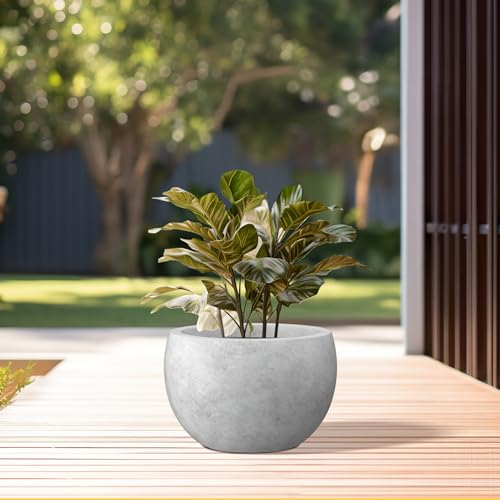 Kante Accent Round Bowl Pale Gray Concrete Planter 15.7" Dia, Outdoor - color: Natural Concrete, size: 15.7" d
