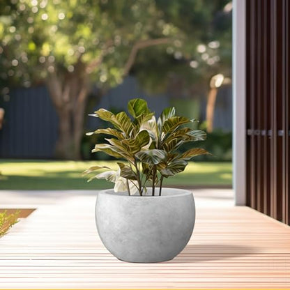 Kante Accent Round Bowl Pale Gray Concrete Planter 15.7" Dia, Outdoor - color: Natural Concrete, size: 15.7" d
