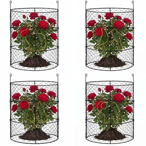 DHAMPOOH Garden Cloches for Plants, Outdoor Plant Protectors, 4 Pack - size: Pack of 4