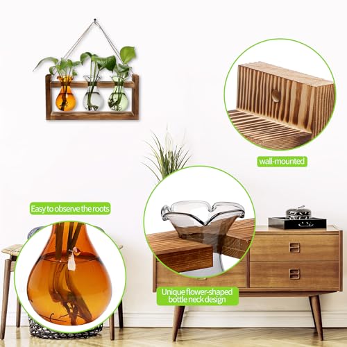 Plant Propagation Station Plant Terrarium Unique Birthday Gifts for Women - color: Color04