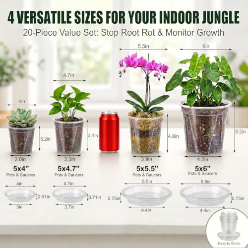 Root-Safe Clear Plant Pots for Indoor: Zero Transplant Shock for Orchids