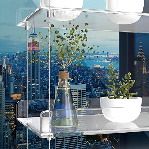 2-Tier Acrylic Window Display Shelves - color: 2 Tier