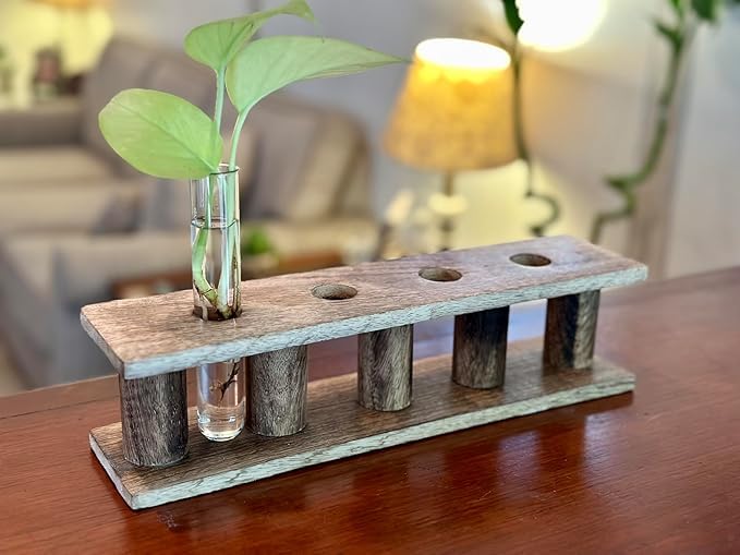 Wooden Plant Propagation Station Stand with Four Glass Test Tubes Indoor Desktop Terrarium for Hydroponics Water Plant Cutting Flower Vase Planter Home Office Garden Decor Plant Lover Gifts, Brown