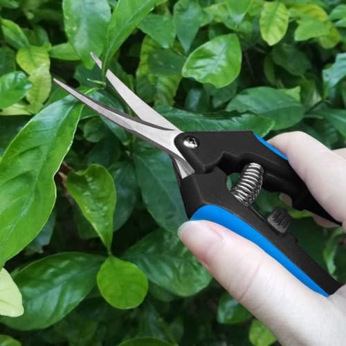 LDK Gardening Hand Pruner Pruning Snip, Garden Trimming Scissors (12 Pack Straight) - color: 12 Pack Straight