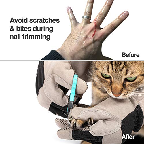 PetFusion Pet Grooming Gloves, Hair Removal and Bathing, Scratch Resistant - size: Large