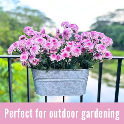 LaLaGreen Rail Planter (16 in, 6 Pack) Silver Metal Hanging Flower Pots - size: 16" (41cm) x 4 Pack