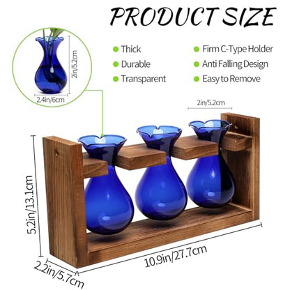 Plant Propagation Station Plant Terrarium Unique Birthday Gifts for Women - color: Blue