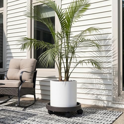 15.5" Plant Caddy with Wheels - Rolling Plant Caddy Total Capacity 352 lbs - size: 15.5"