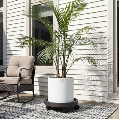 15.5" Plant Caddy with Wheels - Rolling Plant Caddy Total Capacity 352 lbs - size: 15.5"