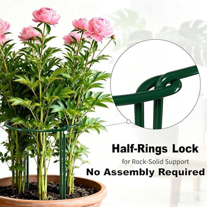 AMAGABELI GARDEN & HOME Plant Support Stakes - color: 6-pack, size: 6 Pack-10" W x 15.8" H