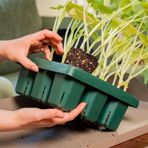 Vego garden Giga Seedling Trays - 8 Pack, 9-Cell UV-Resistant Reusable Starter Trays for Greenhouse/Garden (No Lids) - size: 8 Packs, style: 9 Cells Giga Size