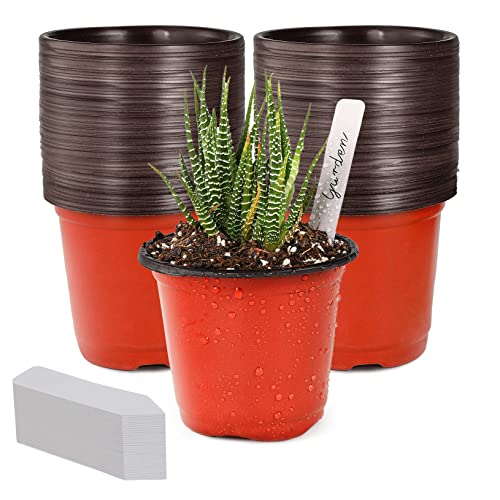 TDHDIKE 4" Small Plastic Plant Nursery Pots 100Pcs with Labels - size: 4inch100