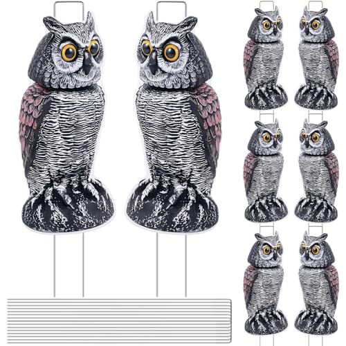 8 Pack Owl Decoys to Scare Birds Away, Fake Owls Scarecrow Yard Lawn Sign with Stakes Pest Repellent Bird Deterrents Waterproof Plastic Owls Decorations for Gardens Patio Outdoor(1 Pattern) - style: 1 Pattern