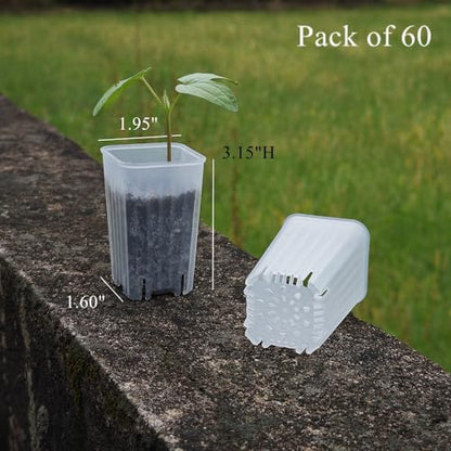 60 Pack 1.95 Inch Tiny Clear Plastic Square Nursery and Seedling Pot, Mini Deep Transplant Seed Starter Planter with Drain Hole for Germination, Herb, Succulent - color: Clear