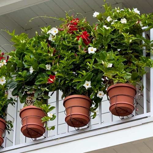 Bloem Railscapes Floating Railing Plant Clip for 1/2" - 3/4” Narrow Spindles - size: 1/2"-3/4" Narrow Spindles