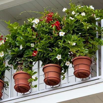 Bloem Railscapes Floating Railing Plant Clip for 1/2" - 3/4” Narrow Spindles - size: 1/2"-3/4" Narrow Spindles