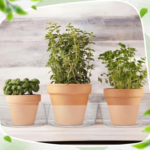 Hoolerry 15 Pcs Plastic Plant Saucer Clear Deep Tray, 14 Inch - size: 14 Inch