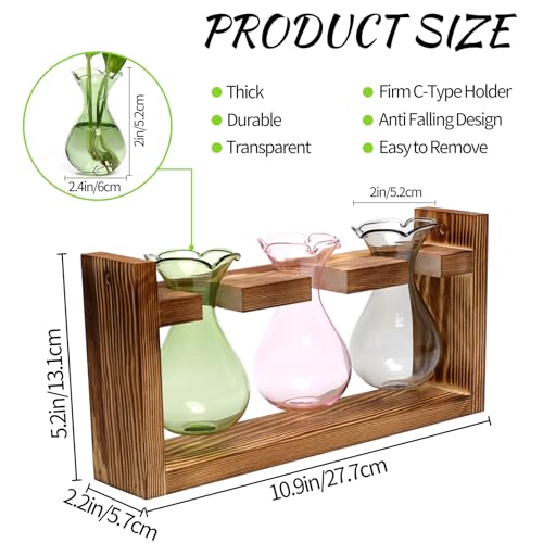 Plant Propagation Station Plant Terrarium Unique Birthday Gifts for Women - color: Color02