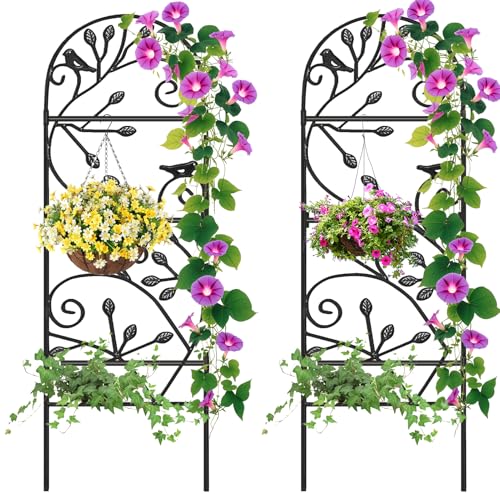 AMAGABELI 2 Pack Garden Trellis for Climbing Plants Outdoor Trellis 46" x 15" Climbing Rose Trellis Metal Trellis for Vines Flower Patio for Grape Cucumber Clematis Decorative Trellis Black - color: Black-2 Pack Leaf, size: 46"x15"