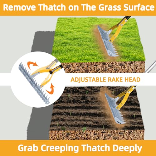 Thatch Rake, Dethatcher Rake for Grass to Cleaning Dead Grass