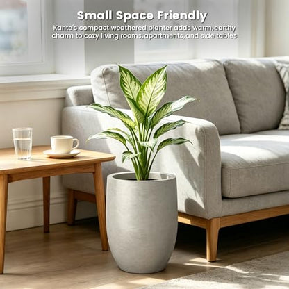 Kante Small Round Curved Weathered Concrete Planter 9.1" Dia, Outdoor - color: Weathered Concrete, size: 11.8 Inch Tall
