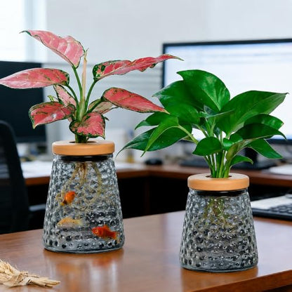 Desktop Plant Hydroponic Vases, Water Plant Jars, Gardening Gifts for Office and Home, Outdoor, Gray Ripple Pattern - color: Gray Ripple Pattern