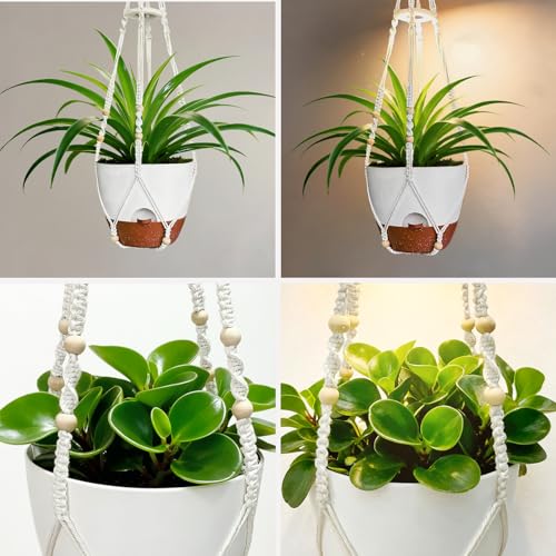 Hanging Planters - Help Plants Thrive in Low Light - color: Self Watering White(daylight), size: 10 Inch