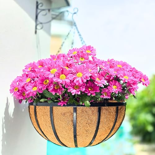 LaLaGreen Hanging Baskets (18 in, 2 Pack) Black Iron Flower Pot Holder - size: 18" (46cm) x 2 Pack