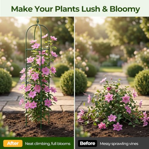 MYMULIKE 2 Pack Garden Obelisk Trellis for Climbing Plants Outdoor & Indoor - 6Ft Rustproof Garden Trellis Plant Support Cage for Vines, Flowers, Vegetables, Roses | Heavy-Duty, Adjustable