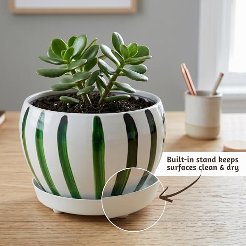 Folkulture Metal Planters for Indoor Plants with Drainage Hole & Saucer - color: Forest Green