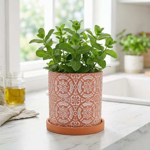 Jucoan 2 Pack Terracotta Plant Pot, 5'' Red Clay Planter Pot with Boho Flower Pattern, Ceramic Cactus Flower Planter Succulent Pot with Drainage Hole and Saucer for Indoor Outdoor Plant