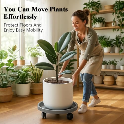 Rolling Plant Stand Outdoor 3 Pack 10 Inch Plant Caddy with Wheels, Grey - color: Grey, size: 10 inch