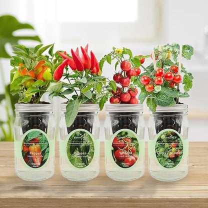 Hydroponic Herb Growing Kit Set, Self-Watering Mason Jar Herb Garden Starter Kit Indoor, Grow 4 Kinds of Herbs from Seeds (2 Tomato & 2 Pepper) - color: 2 Tomato & 2 Pepper