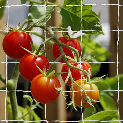 Tcamp Heavy-Duty Polyester Plant Trellis Netting - size: 6" Mesh (5*30 Ft) - 2Pack