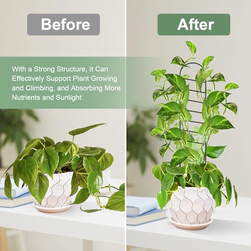 17.5 inch Small Trellis for Potted Plants, Metal Plant Trellis Indoor - color: Ladder-Metal