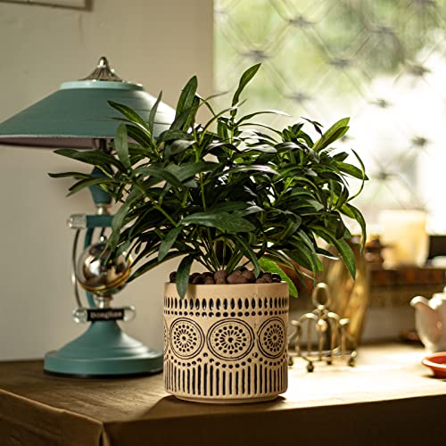 Ceramic 5 Inch Succulent Plant Pot Small Flower Planter - color: Pattern