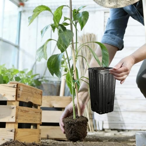 5Pcs Square Tree Pot with Drainage Holes Starting Pots for Indoor Outdoor Plastic Deep Nursery Treepots Seedling Flower Plant Contain ﻿ (5Pcs,12x25cm) - color: 5pcs,12x25cm