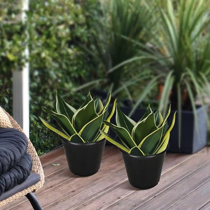 1 Gallon Plant Nursery Pot 10-Pack 1 Gallon Plastic Garden Planter Pots Flower Seedling Injection Molded Container Seed Starting Pot Set for Indoor Outdoor Plants Seedlings Vegetables Black - size: Standard 1 Gallon