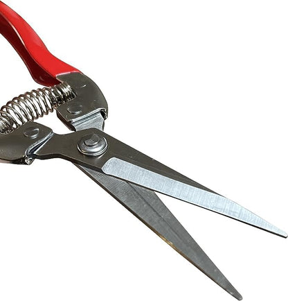 GARDEN GURU Straight Stainless Steel Pruner Pruning Shears Clippers Snips – Sharp Bonsai Cutter Plant Trimming Scissors – Straight Blade – Great for Roses Flowers Herbs Fruits - 1 Case (50 Pcs) - size: 50 Pack, style: Snips