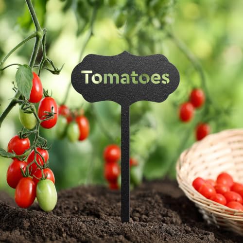 RealSteel Metal Seed & Plant Markers – Elegant Indoor & Outdoor Garden Stakes – Durable Herb, Vegetable & Fruit Plant Labels for Pots, Raised Beds & Greenhouse – Farmhouse Garden Gift - Asparagus