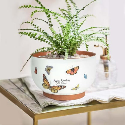 Terracotta Pots, 8+6 Inch Plant Pots, 2 Pcs with Drainage Holes - color: Jardin Butterfly, size: 8+6 Inch