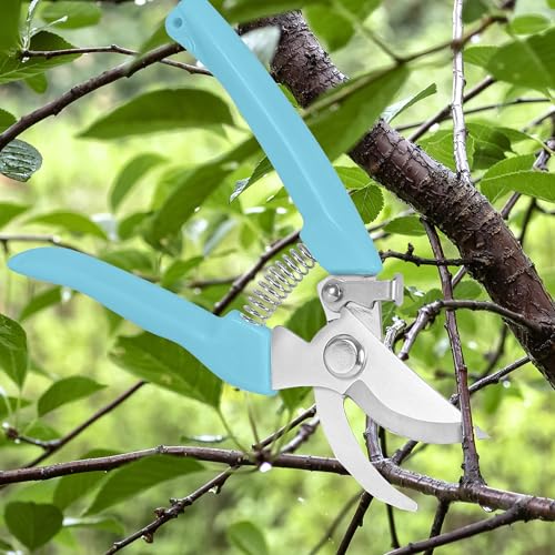Blue Curved Blade Stainless Steel Garden Shears - Premium Branch Trimmer with Ergonomic PP Handle - color: Blue, size: Bend mouth