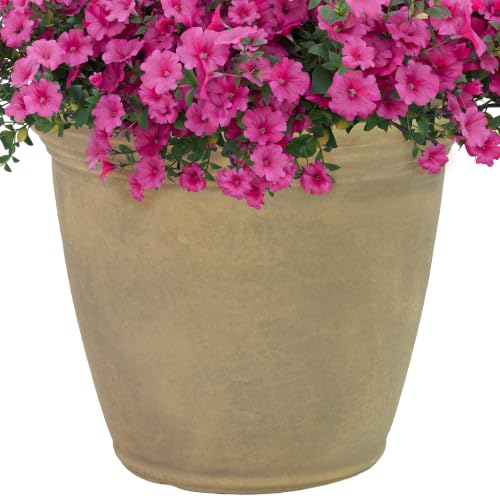 Sunnydaze Anjelica 15.25'' Large Plastic Planter Pot for Plants, Beige - color: Beige, size: 15.25 in