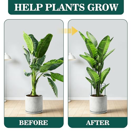 Unves 10 Pack Peony Cages and Supports, Plant Support Stakes, 24" x 10" - size: 10" W x 24" H - 10Pack