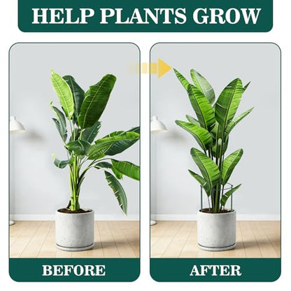 Unves 10 Pack Peony Cages and Supports, Plant Support Stakes, 24" x 10" - size: 10" W x 24" H - 10Pack