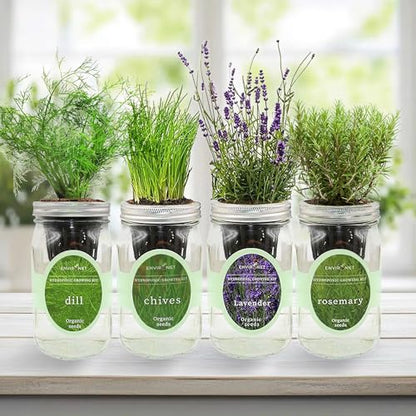 Rosemary, Lavender, Dill & Chives Mason Jar Herb Garden Kit, Aromatic Savory Herb Collection, 4 Pack Indoor Hydroponic Growing Kit - color: Rosemary+Lavender+Dill+Chives