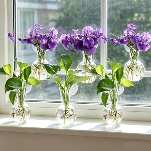 8 Pack Window Propagation Stations, Plastic Plant Terrarium Vases - size: 8 Pcs
