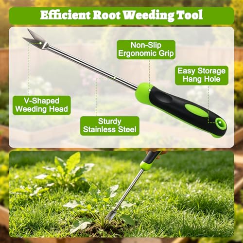 Weed Puller Tool Set, 3-Piece Stainless Steel Garden Weeder Tool Kit, Manual Crack Weeder Crevice Weeding Tool, Hand Weeder Tool for Dandelion, Uprooting Weeding Tools for Garden (Green (3 pcs)) - color: Green (3 pcs)