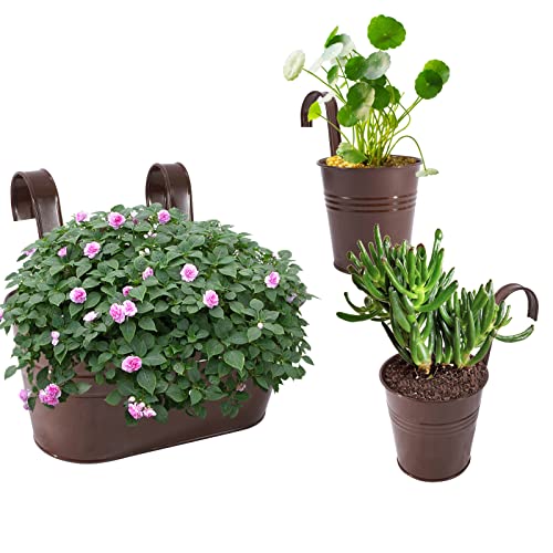 HowRU Metal Iron Flower Pots for Railing Fence Hanging Bucket Pots(5 Pcs) and Hanging Flower Pots Metal Iron Bucket Planter(10 Pcs) (Bronze) - color: Bronze