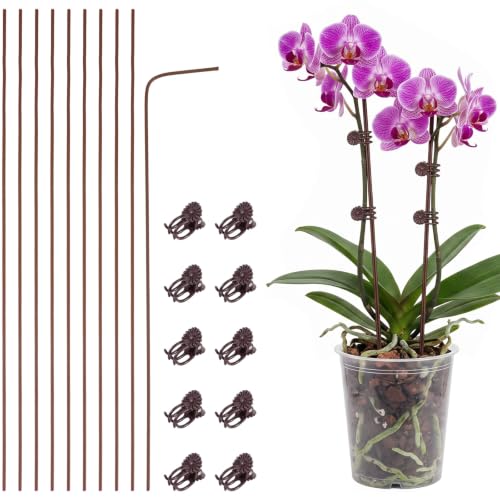 Nogeqi 10 Pack Orchid Stakes and Clips, Flexible Plant Support Stakes,11.8 Inch Plant Holder Stick for Garden,Plants Supports for Tomato Rose Outdoor Indoor Plants Professional Phalaenopsis(Brown) - color: brown